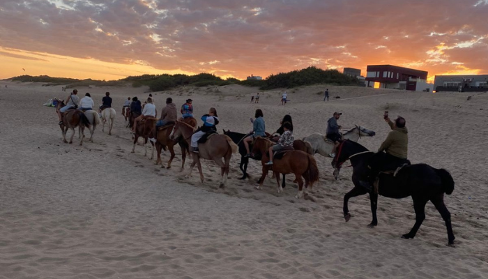 CABALGATAS POR BOSQUE Y PLAYA